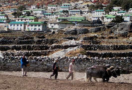 Khumbu village